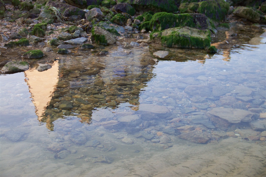 Stacks Image 558
