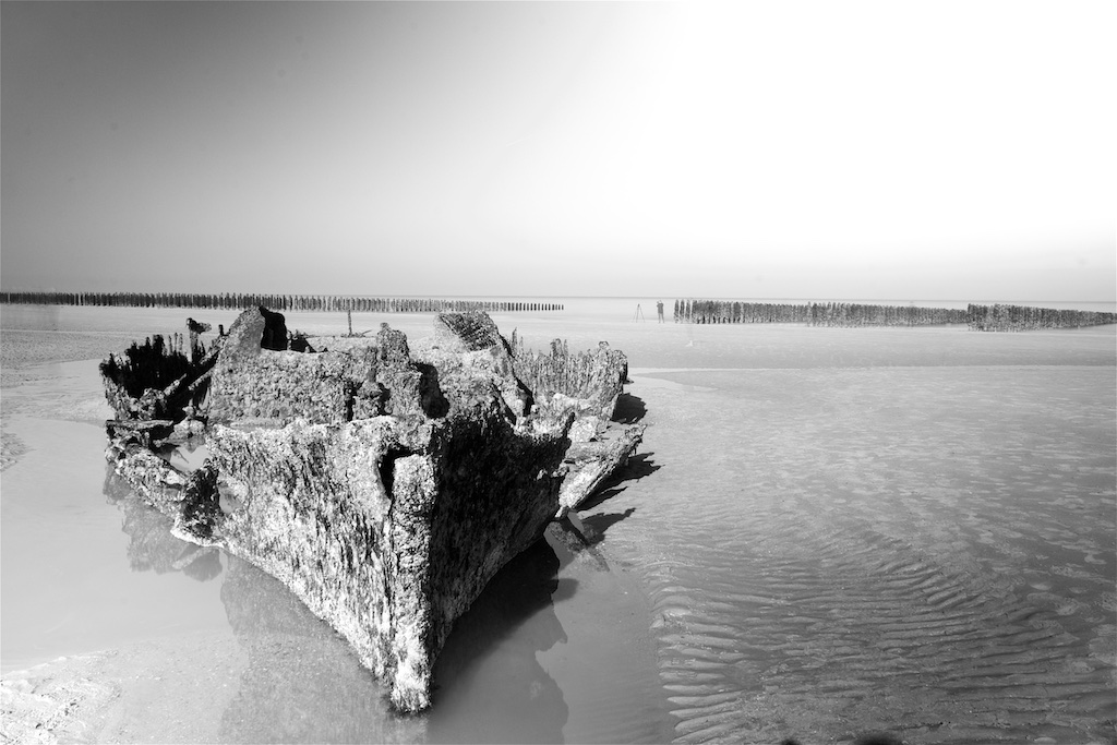 Stacks Image 570